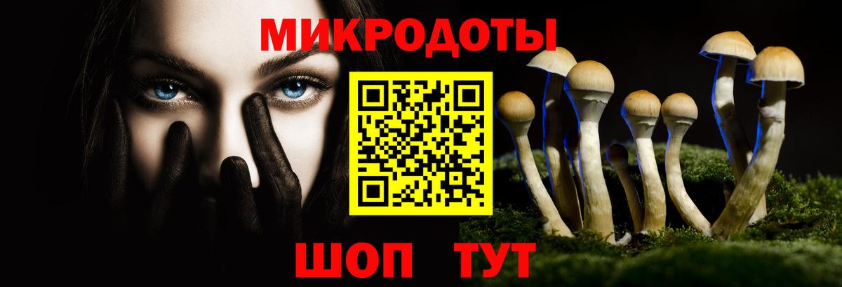Апатиты  Псилоцибиновые грибы MAGIC MUSHROOMS  Вход с VPN 
